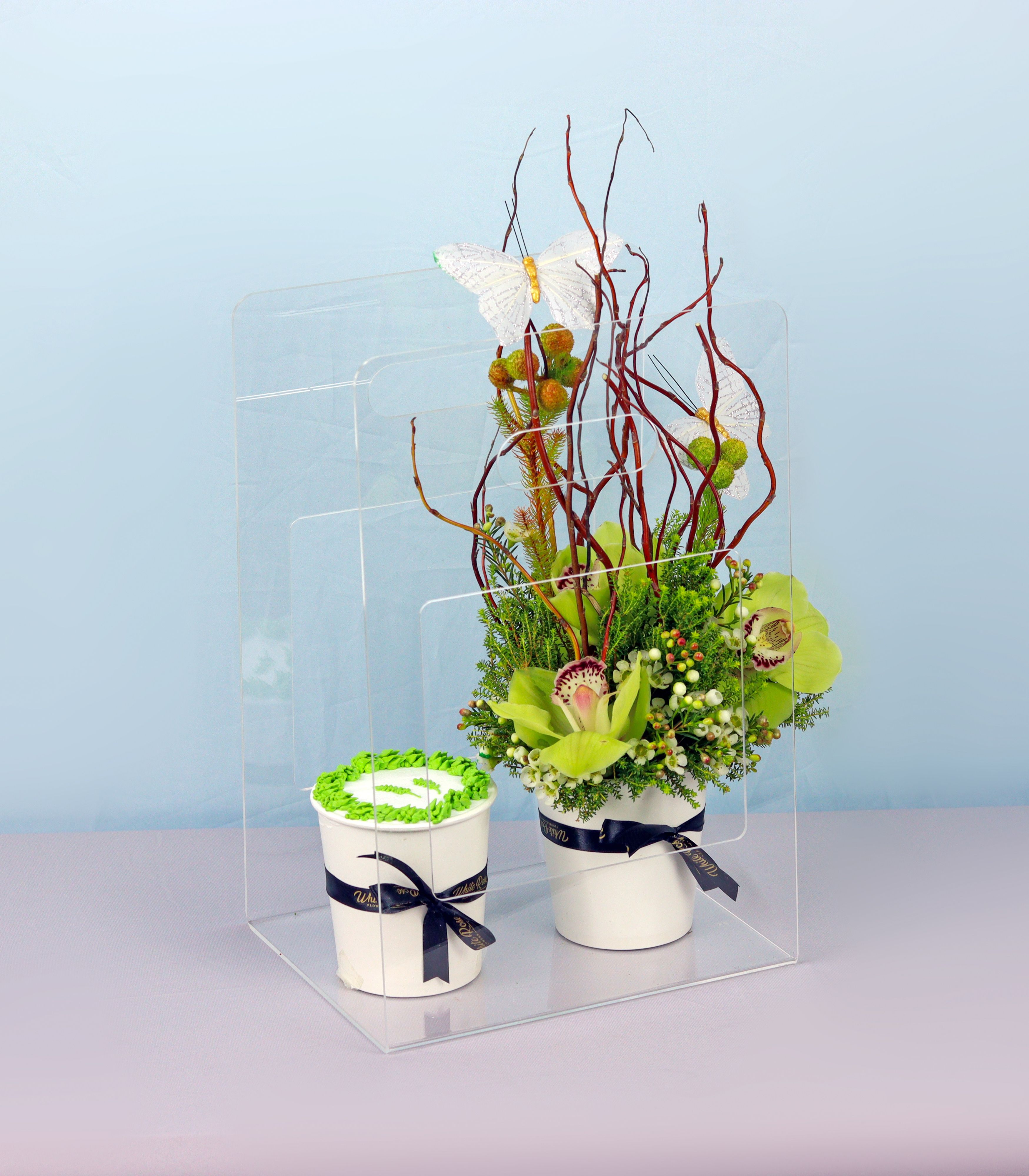 Orchid Cake Cup - Cymbidium Orchids and Cupcake in Acrylic Bag