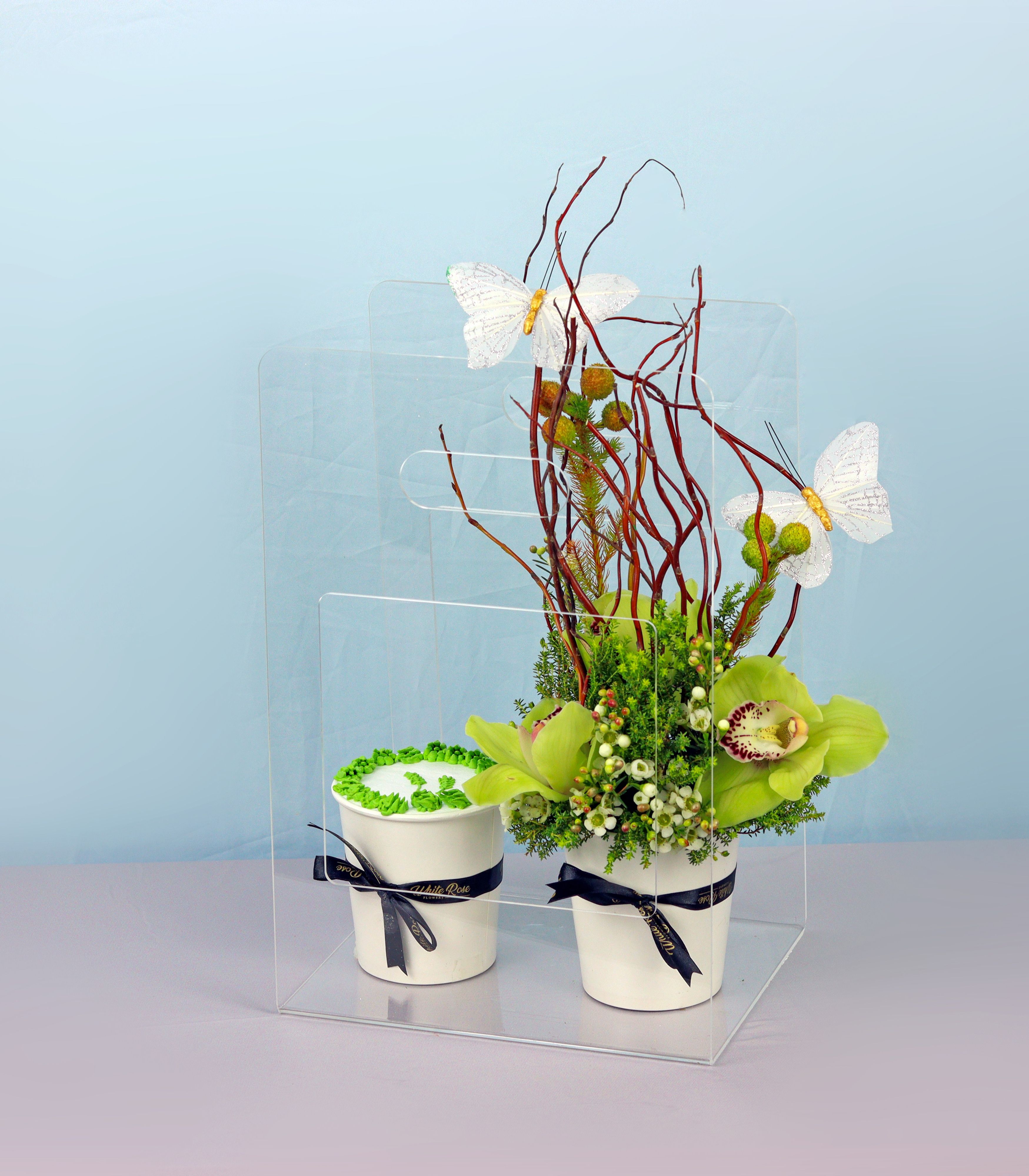 Orchid Cake Cup - Cymbidium Orchids and Cupcake in Acrylic Bag