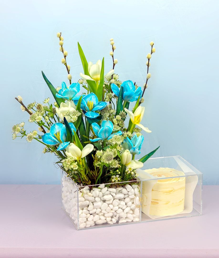 Tulip Symphony Cake Tray - Flowers and Cake in Acrylic Box