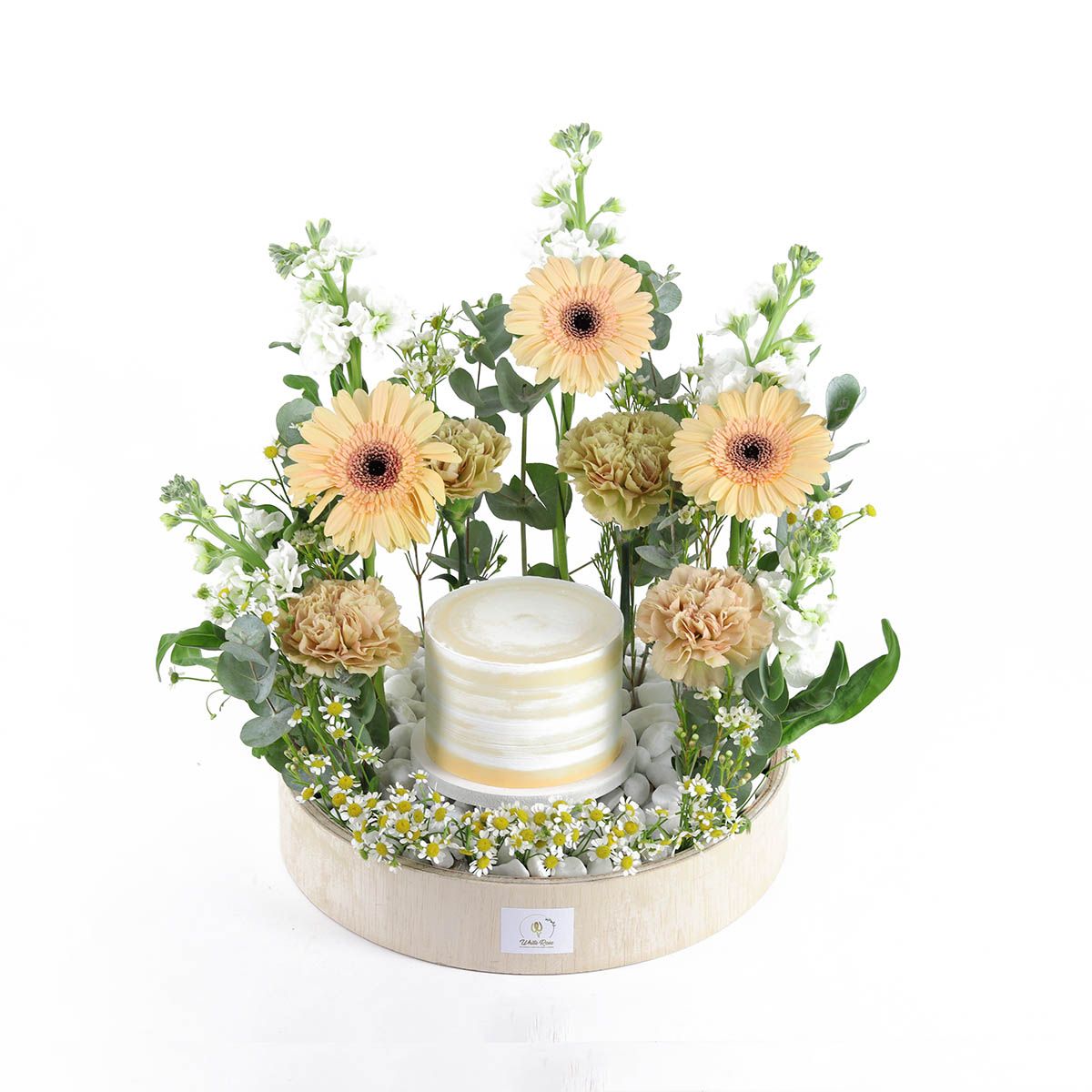 Cake Meadow - Gerbera Flower Tray with 300g Cake
