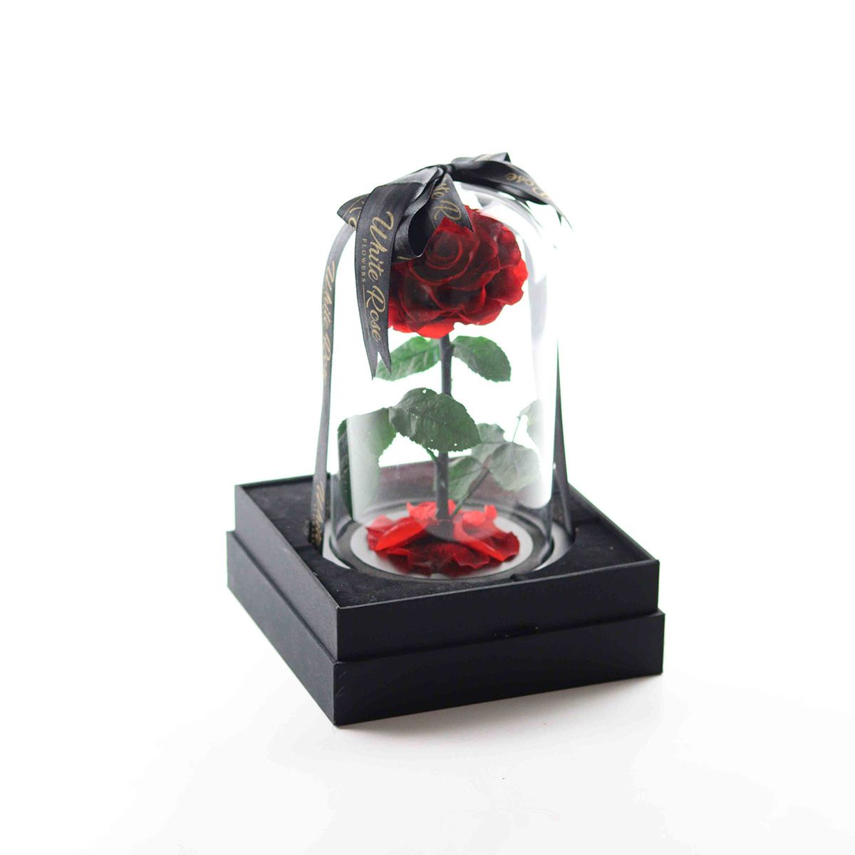 Single Forever Rose - Preserved Red Rose in Bell Jar