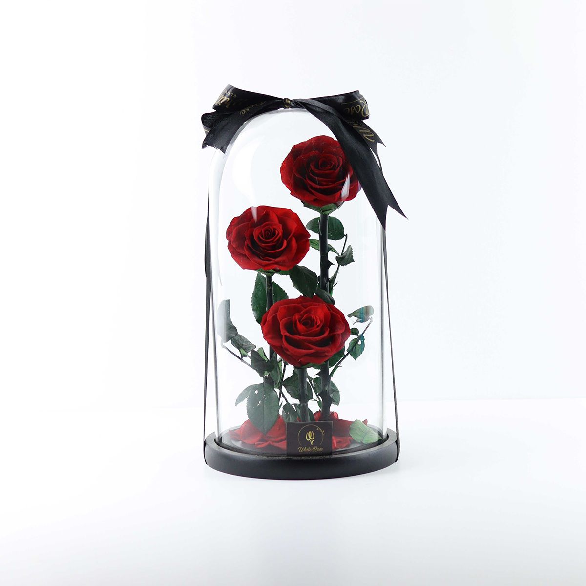 Tri Forever Rose - Preserved Roses in Bell Jar