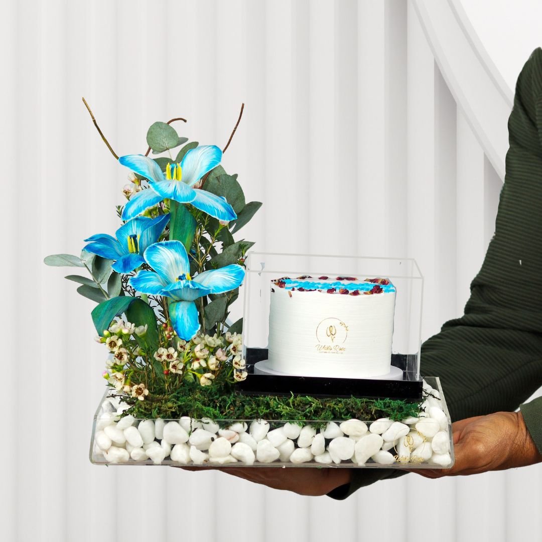 Deep Blue Cake Arrangement - Tulips and Cake in Acrylic Tray