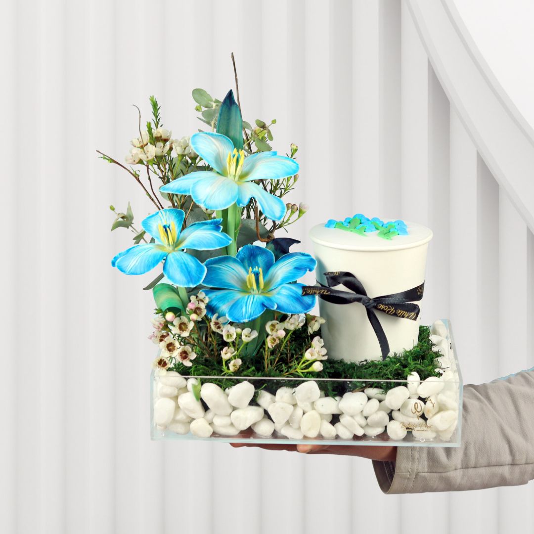 Sky Tulip Creamy Cup - Tulips and Cupcake in Acrylic Tray