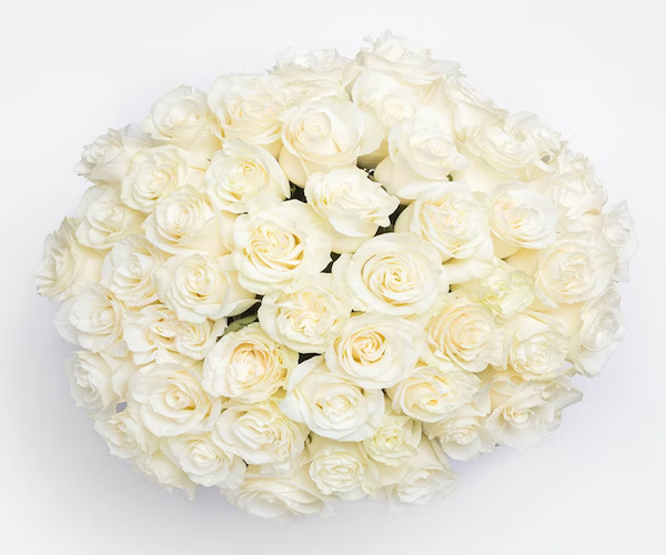 101 White Roses Vase Arrangement