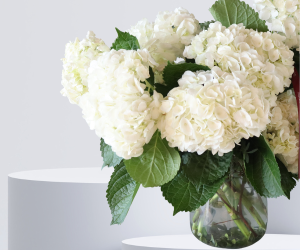 Whispering Elegance Floral Arrangement with White Hydrangeas