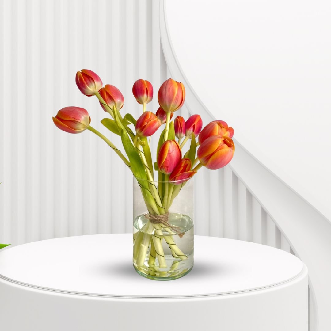 Tulip Queen Arrangement - Regal Dual-Tone Tulips in a Vase